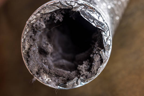 Best Ventilation Cleaning Services  in Brady, TX